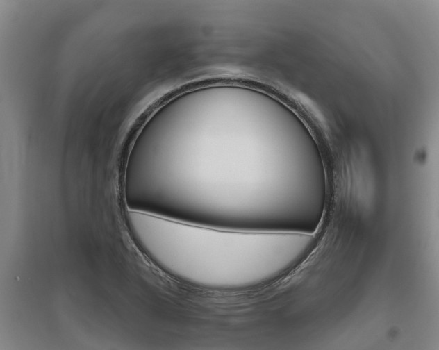 X0000095931318200801110909