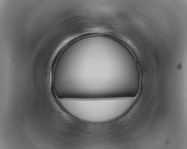 X0000095931323200801110909