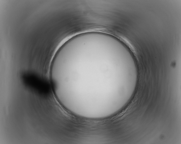 X0000095931324200801110909