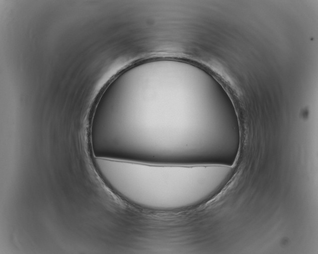 X0000095931325200801110909