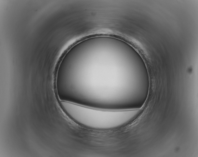X0000095931326200801110909