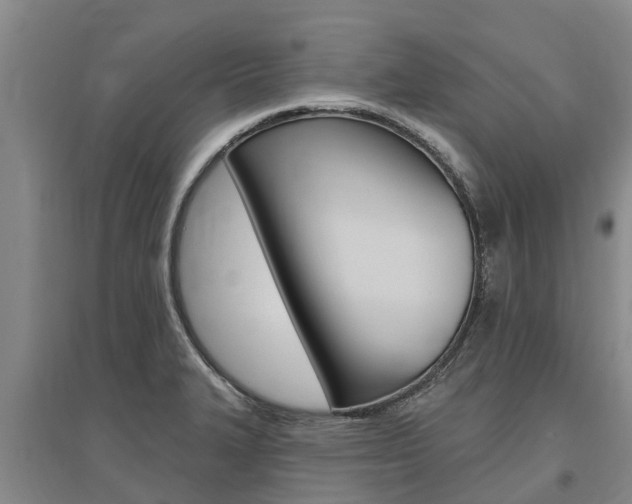X0000095931327200801110909