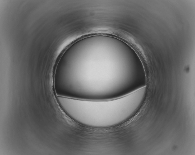 X0000095931328200801110909