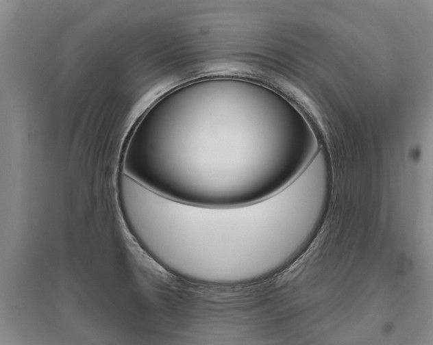 X0000095931330200801110909