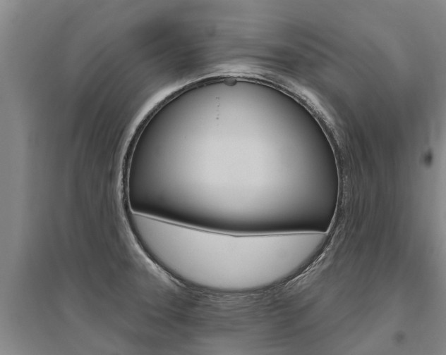 X0000095931331200801110909