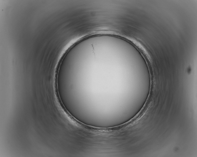 X0000095931333200801110909