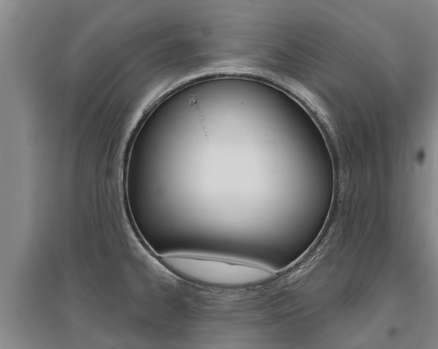 X0000095931334200801110909