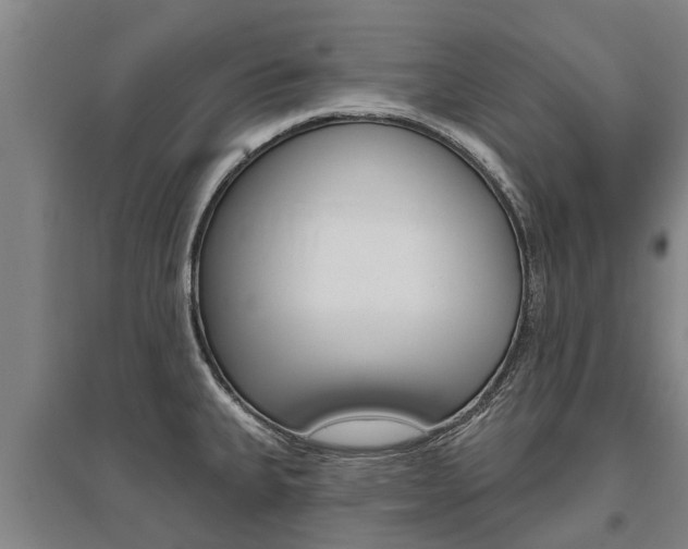X0000095931335200801110909