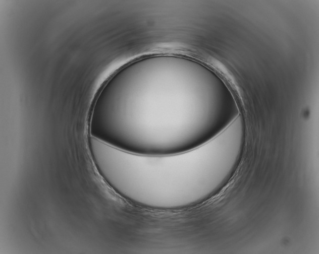 X0000095931336200801110909