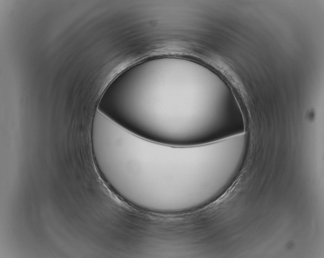 X0000095931337200801110909