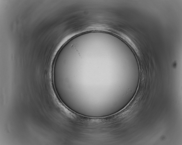 X0000095931339200801110909
