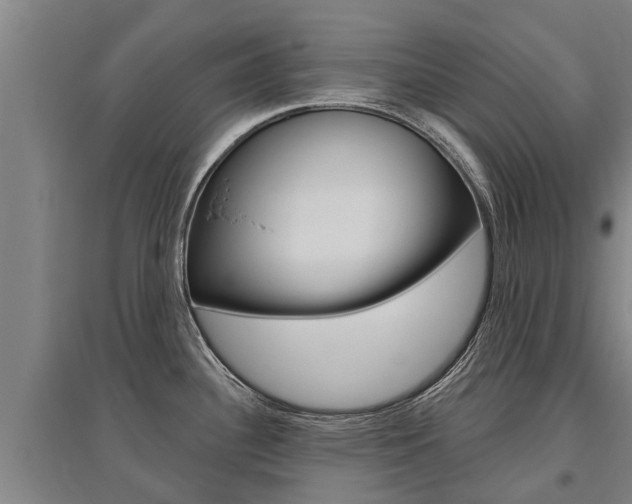 X0000095931340200801110909