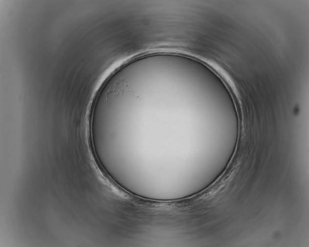 X0000095931341200801110909