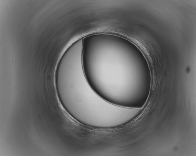 X0000095931342200801110909