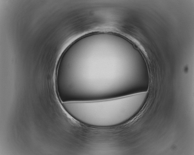 X0000095931343200801110909