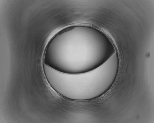 X0000095931344200801110909