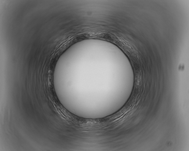 X0000095931346200801110908