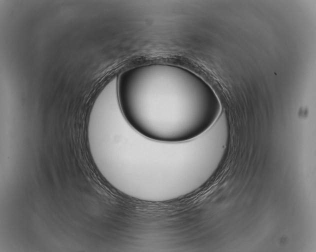 X0000095931348200801110908