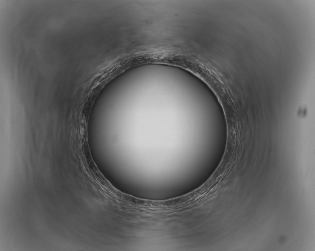 X0000095931349200801110908