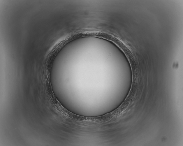 X0000095931351200801110908