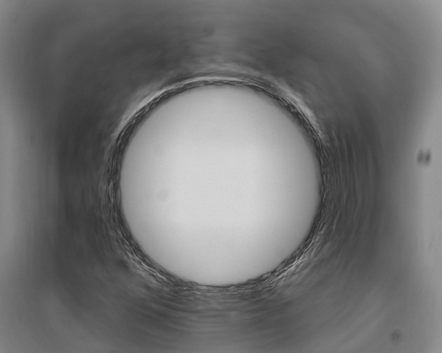 X0000095931352200801110908