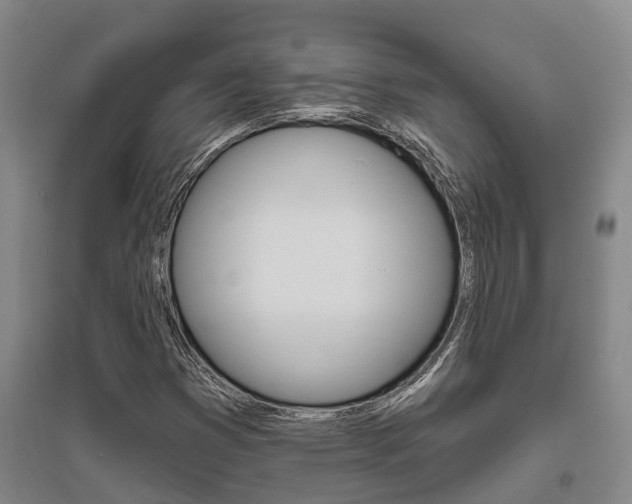 X0000095931353200801110908