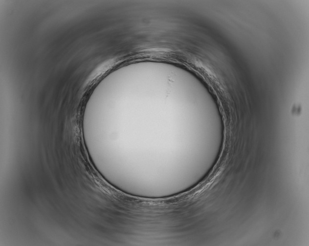 X0000095931354200801110908