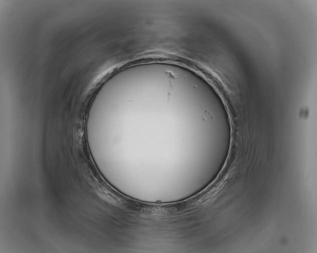 X0000095931355200801110908
