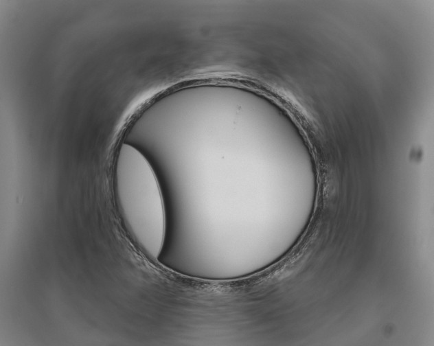 X0000095931358200801110908