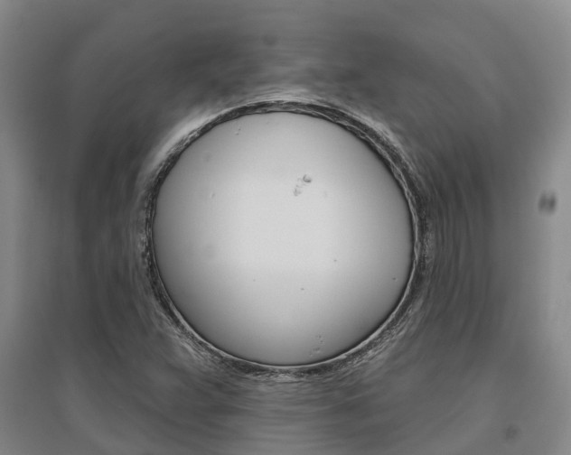 X0000095931359200801110908