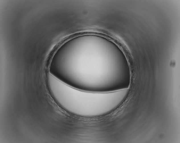 X0000095931360200801110908