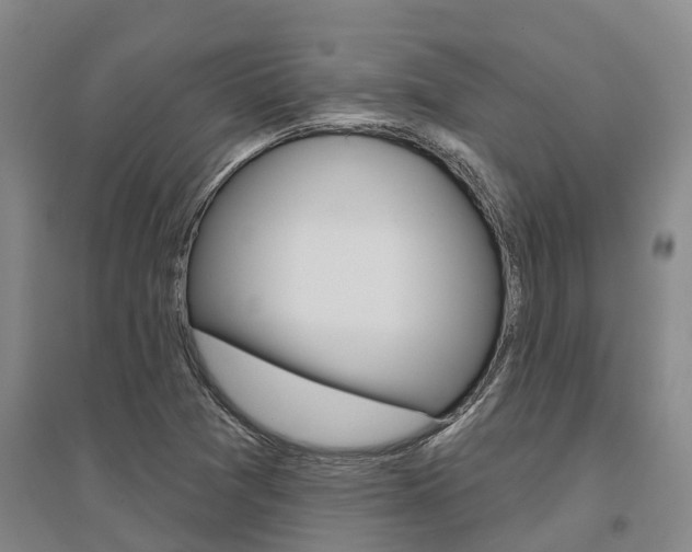 X0000095931361200801110908