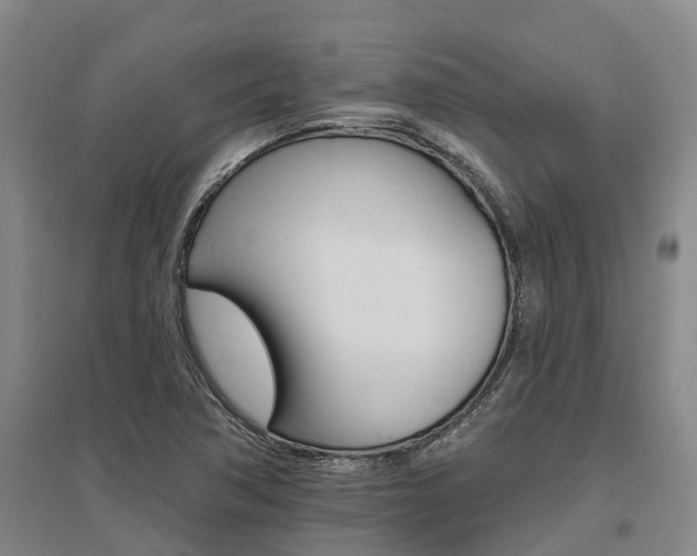 X0000095931362200801110908