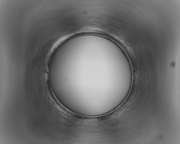 X0000095931363200801110908