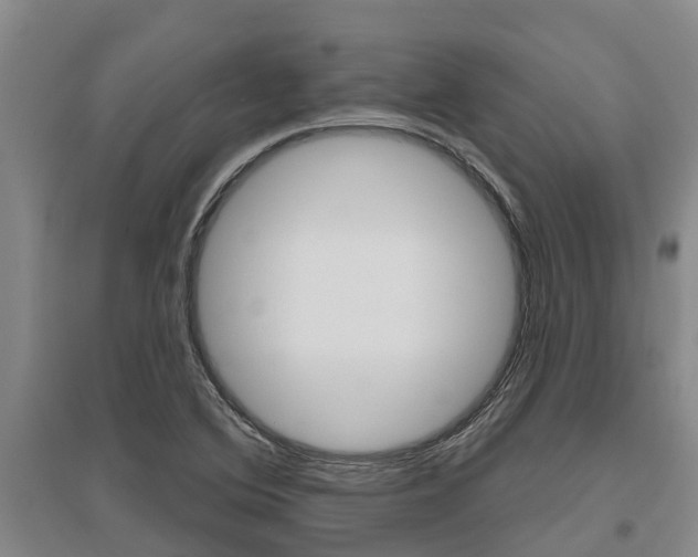 X0000095931364200801110908
