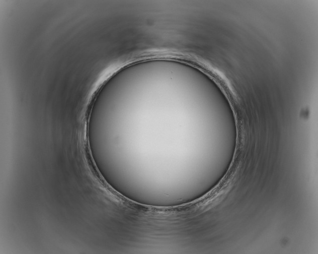 X0000095931365200801110908