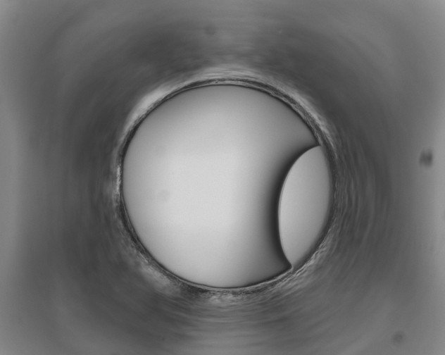 X0000095931366200801110908
