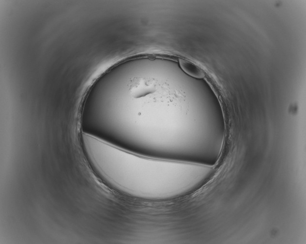 X0000095931367200801110908