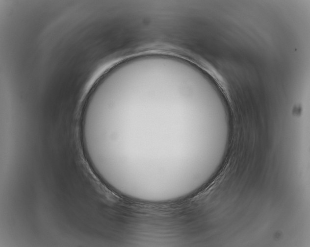 X0000095931368200801110908