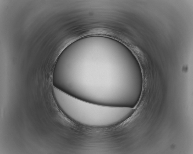 X0000095931369200801110908
