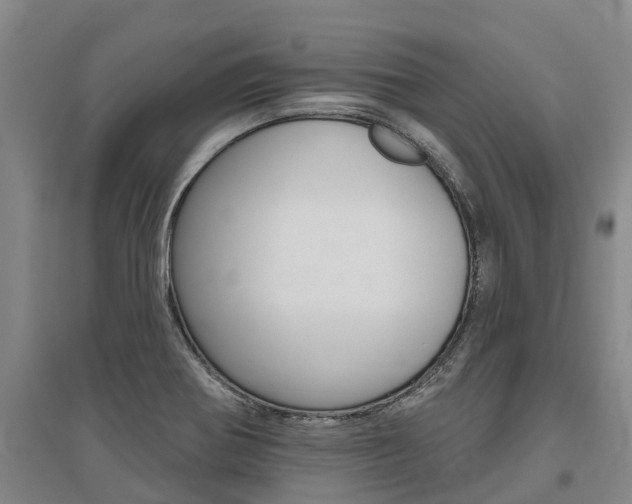 X0000095931370200801110908