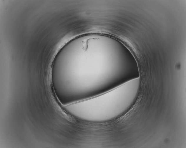 X0000095931371200801110908