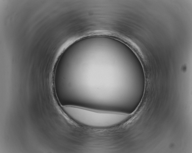 X0000095931373200801110908
