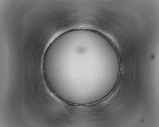 X0000095931374200801110908