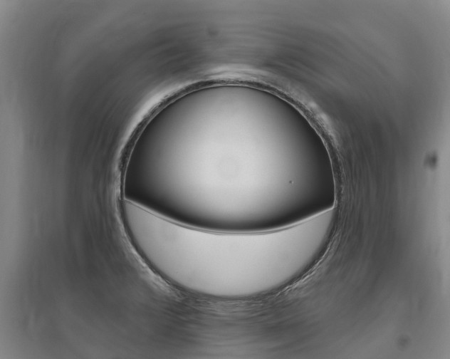 X0000095931376200801110908