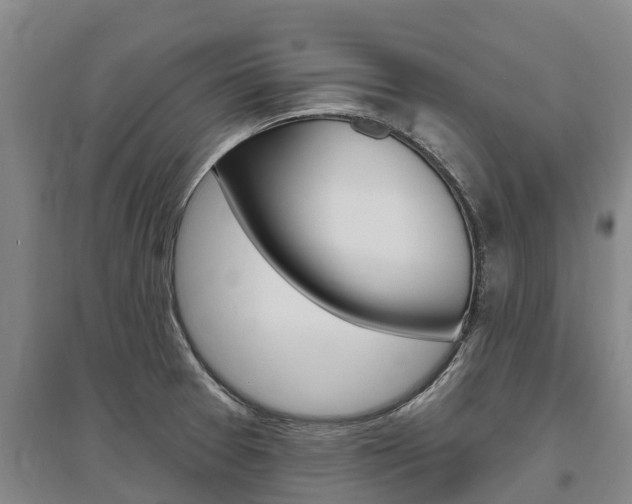X0000095931377200801110908