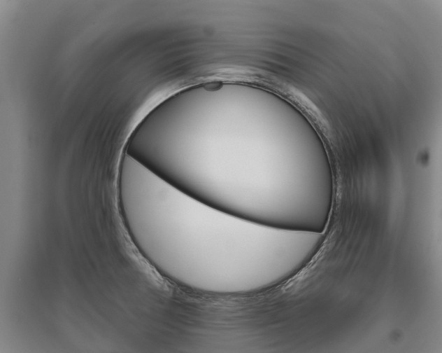 X0000095931378200801110908