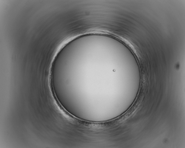 X0000095931379200801110908