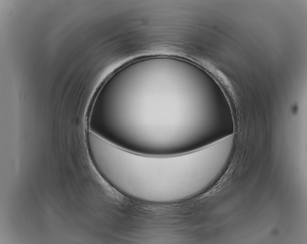 X0000095931380200801110908