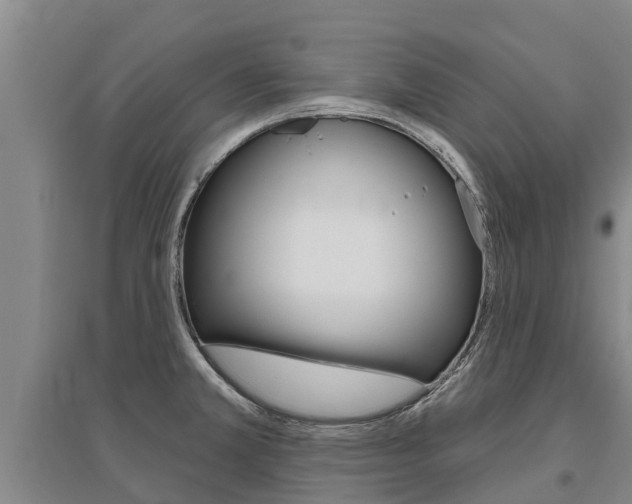 X0000095931381200801110908